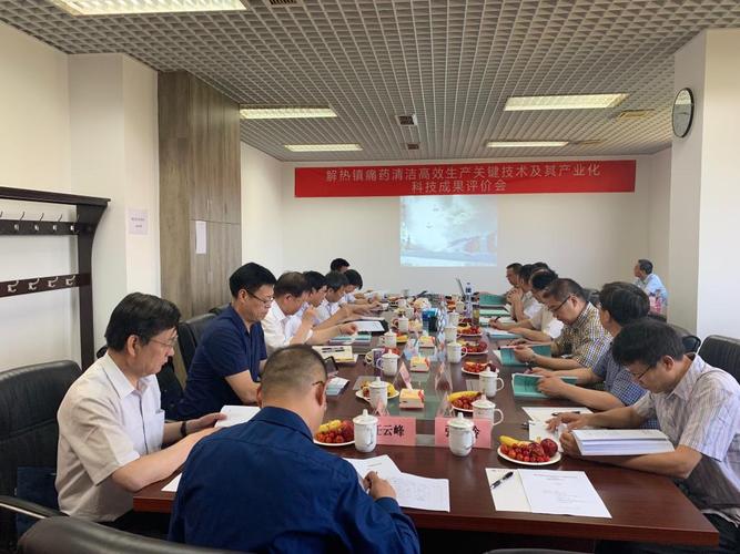"解热镇痛药清洁高效生产关键技术及其产业化"项目通过科技成果评价-